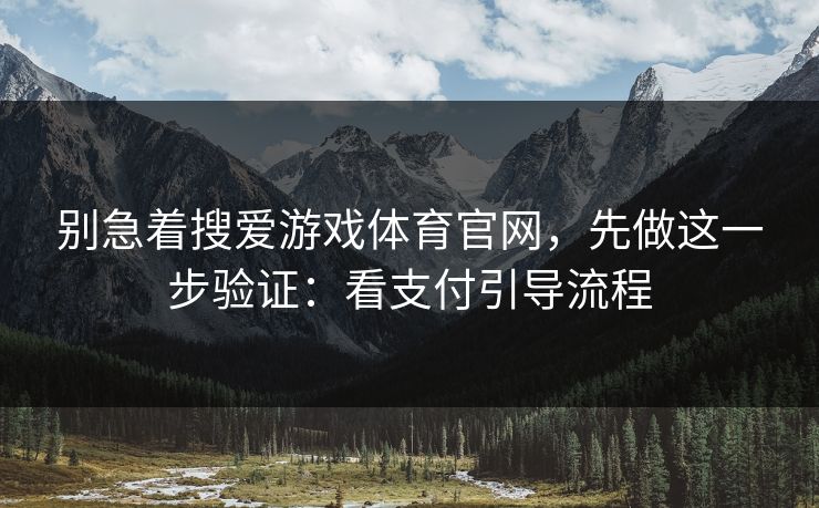 别急着搜爱游戏体育官网，先做这一步验证：看支付引导流程