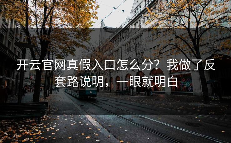 开云官网真假入口怎么分？我做了反套路说明，一眼就明白